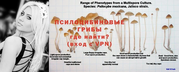 ALPHA-PVP Верея